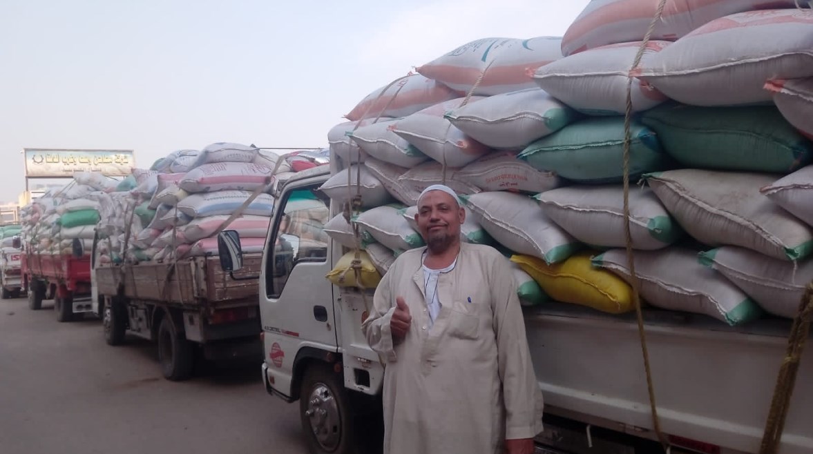 توريد محصول القمح بصوامع القليوبية 2026
