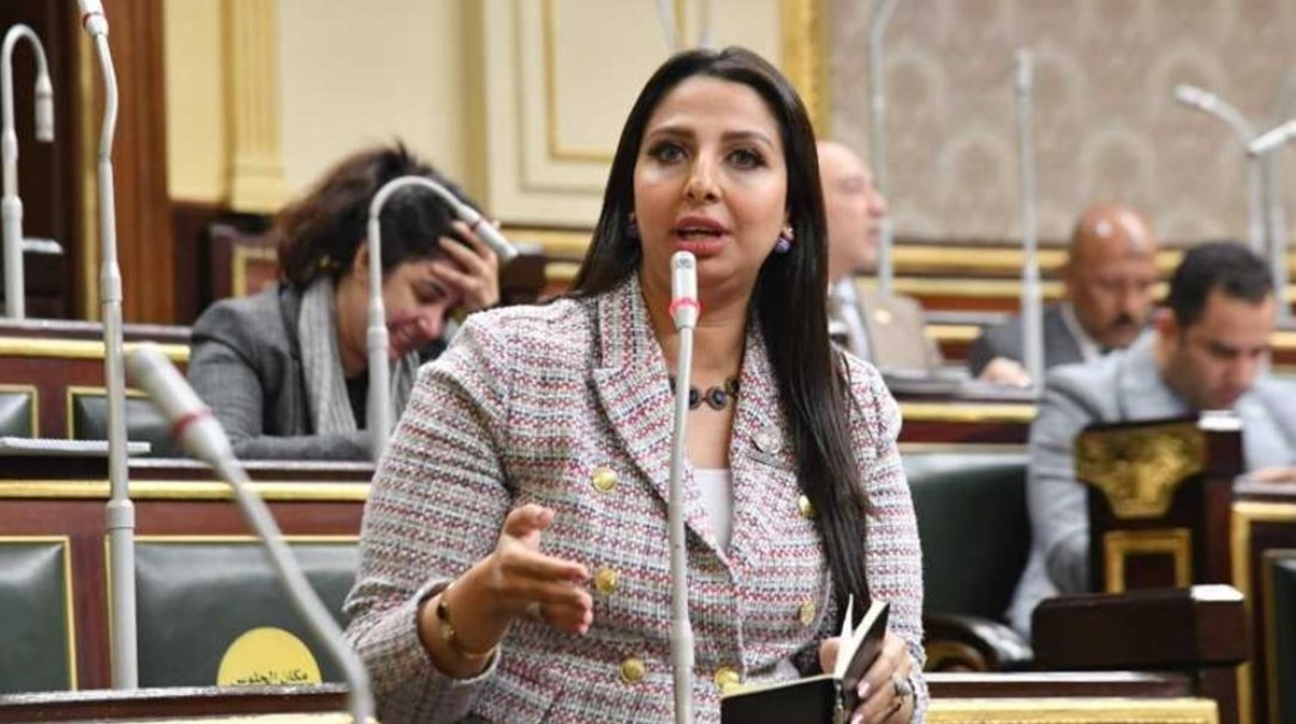 عضو مجلس النواب، النائبة نشوى الشريف