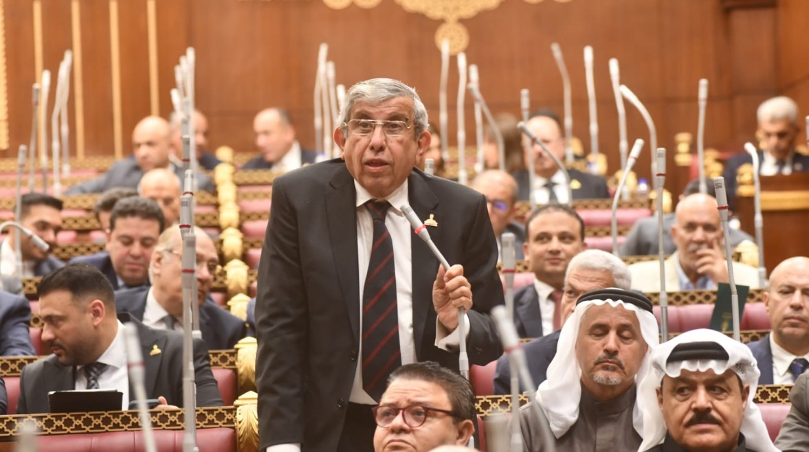 النائب علاء عبد النبي