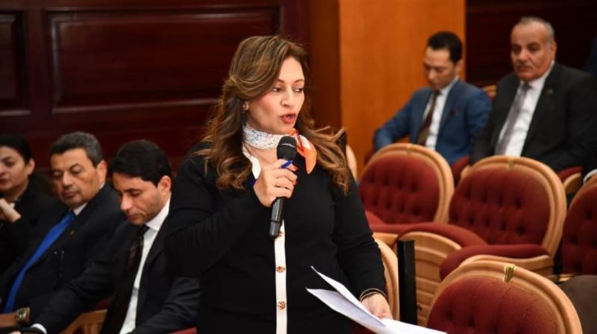 عضو مجلس الشيوخ النائبة نيفين فارس