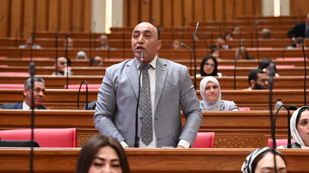 النائب حسام حسن