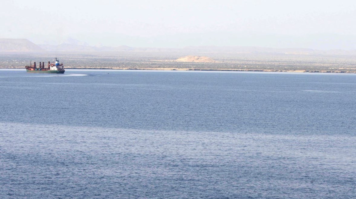 أرشيفية 