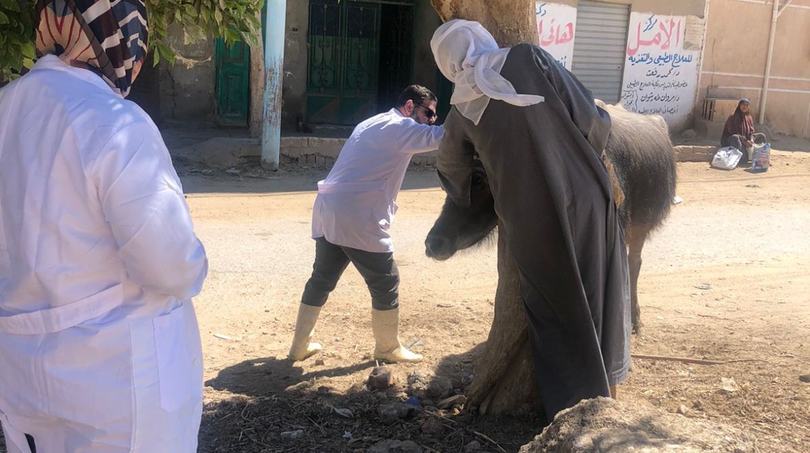 صورة اثناء التحصين 
