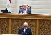  مجلس النواب