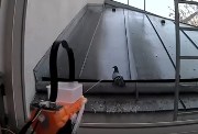 البرج المائي
