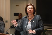 النائبة الدكتورة مها عبد الناصر، عضو مجلس النواب
