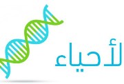 إجابات النموذج الاسترشادي الأول أحياء 2026 للثانوية العامة