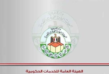 هيئة الخدمات الحكومية