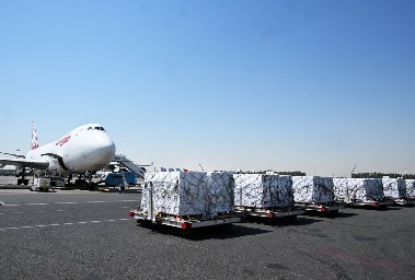 المساعدات الإماراتية