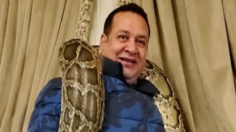 صبري نخنوخ 