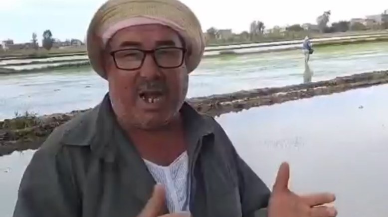 شكر للنائب أحمد الشافعي من قرية البلابوة بكفر الشيخ
