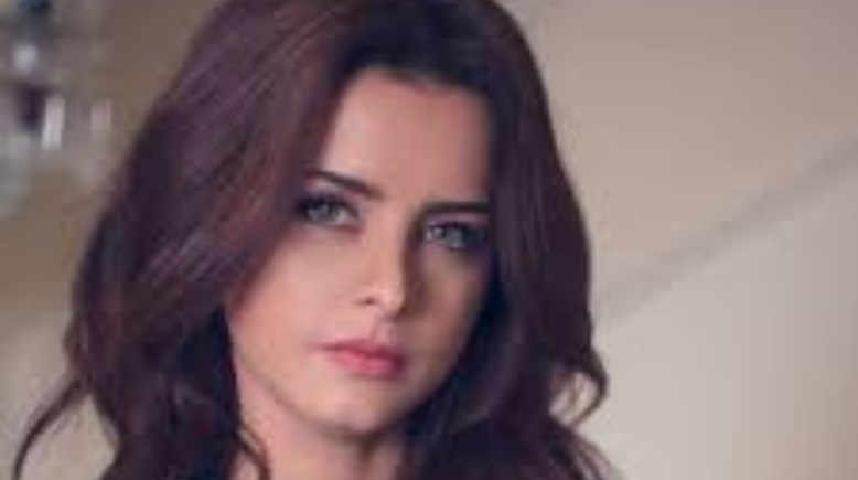 الفنانة نور 