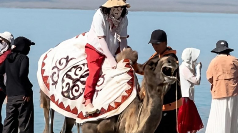 الجمل وهو يصرخ