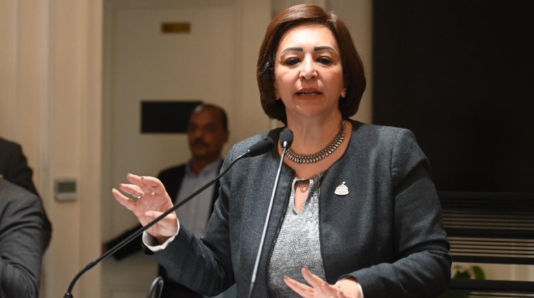 النائبة الدكتورة مها عبد الناصر، عضو مجلس النواب
