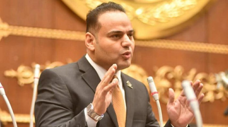 عضو مجلس الشيوخ النائب الحسيني الليثي