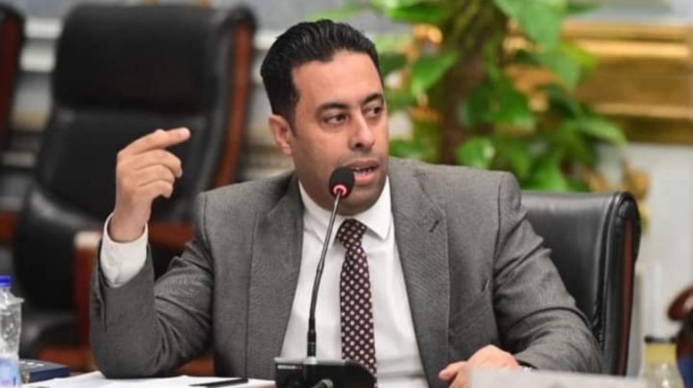 عضو مجلس النواب، النائب أحمد فرغلي