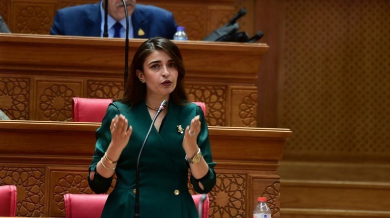 عضو مجلس النواب، النائبة إيرين سعيد