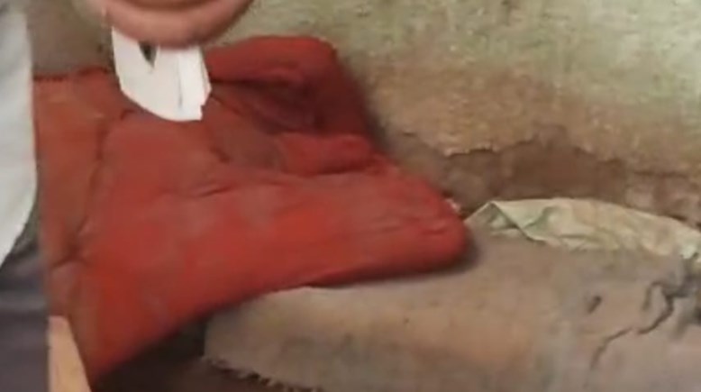 واقعة التنقيب عن الآثار