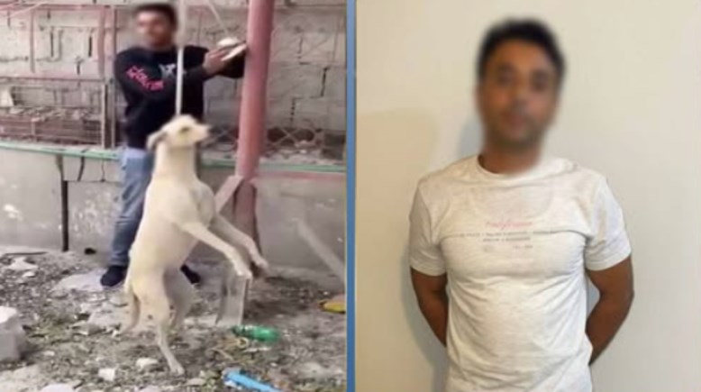 المتهم وجانب من الواقعة 