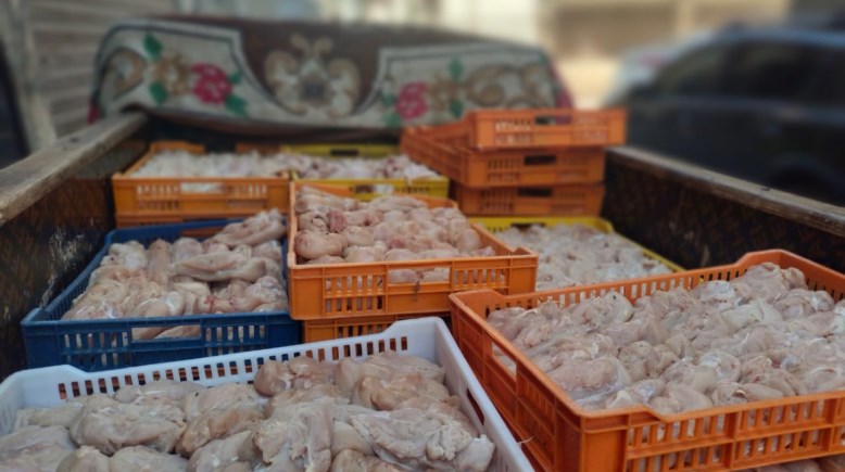 صورة المضبوطات من الفراخ الفاسدة بأحد المطاعم الشهيرة في الفيوم 