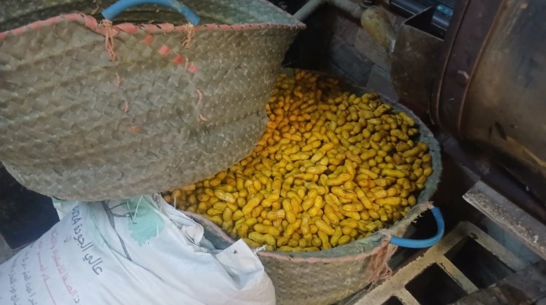 جانب من المضبوطات 