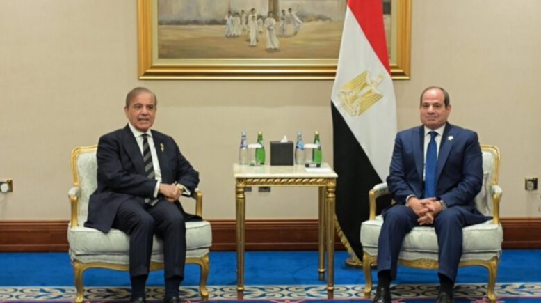 الرئيس عبدالفتاح السيسي، ونظير الباكستاني، شريف شهباز