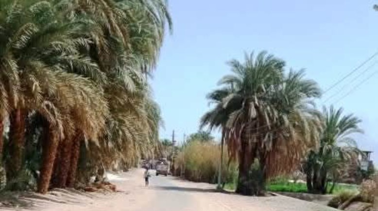 قرية منيحة باسوان 