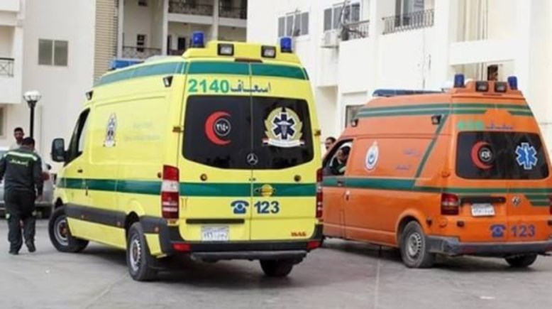  إصابة شابين بطلقات خرطوش بقرية الحمام ببني سويف والشرطة تلاحق المتهمين