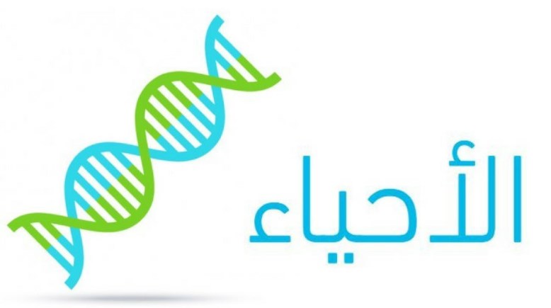 إجابات النموذج الاسترشادي الأول أحياء 2026 للثانوية العامة