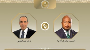 وزيرا الخارجية المصري والغاني