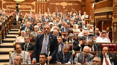 الدكتور محمود مسلم، رئيس الهيئة البرلمانية لحزب الجبهة الوطنية بمجلس الشيوخ