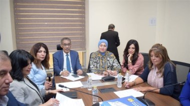 ضياء رشوان في اجتماع لجنة الثقافة والإعلام والآثار بمجلس النواب