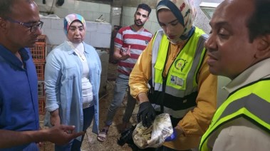 حملة رقابية على سلامة الغذاء بالخصوص