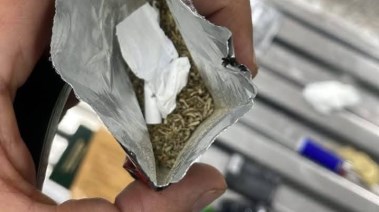 جانب من المضبوطات 