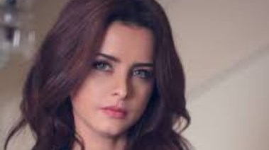 الفنانة نور 