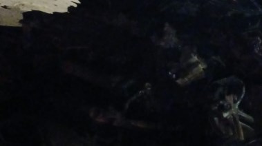 الحادث 