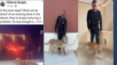 المتهم