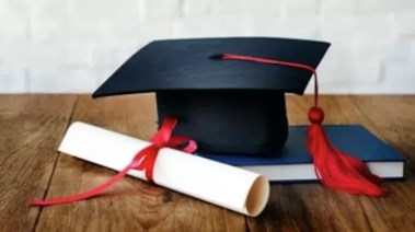نتيجة الصف السادس الابتدائي بالاسم ورقم الجلوس محافظة الجيزة 2026