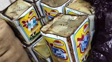 جبن فاسد