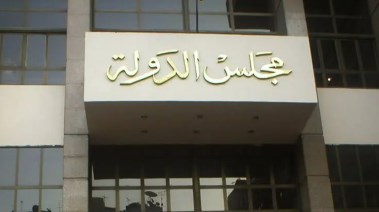 مجلس الدولة 
