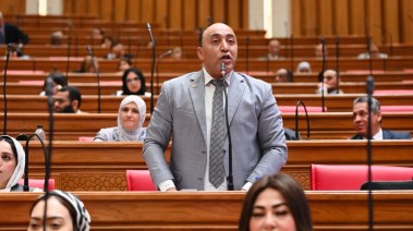 النائب حسام حسن