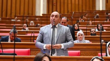 عضو مجلس النواب، النائب حسام حسن