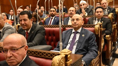 النائب أشرف عبد الغني