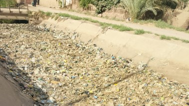 حيوانات نافقة ومخلفات داخل الترعة  
