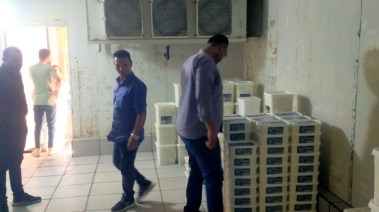 صورة من المضبوطات 