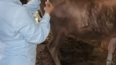 لقطة من الحملة 