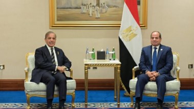 الرئيس عبدالفتاح السيسي، ونظير الباكستاني، شريف شهباز