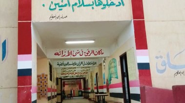 محافظ أسوان 