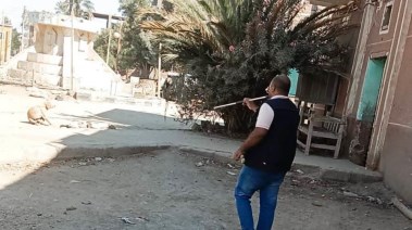 محافظ أسوان 
