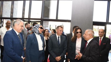 محافظ أسوان 